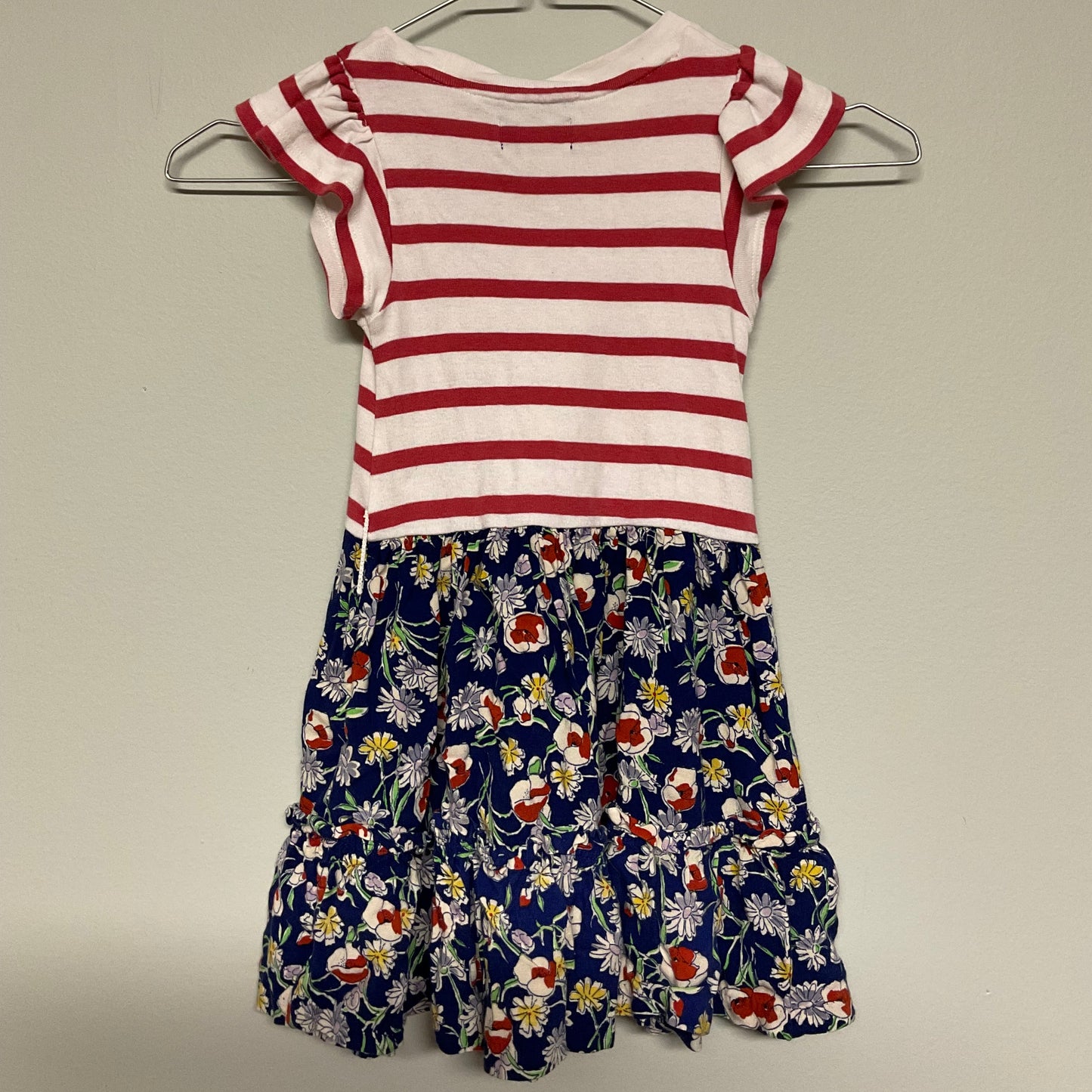 Polo red/blue floral dress